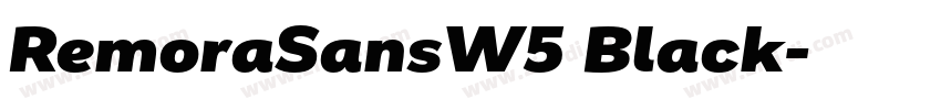 RemoraSansW5 Black字体转换